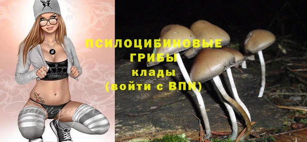 spice Армянск