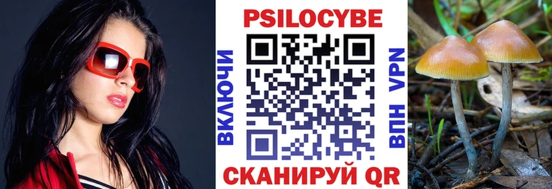 Галлюциногенные грибы Psilocybine cubensis  darknet телеграм  Боготол 