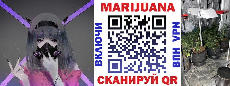 Каннабис ГИДРОПОН  Боготол 